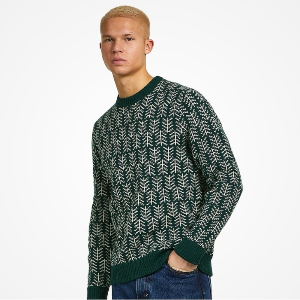 Patagonia Recycled Wool Sweater (Pine Knit / Northern Green)